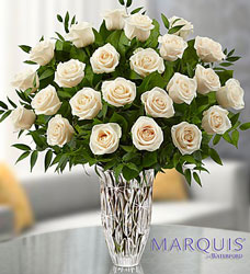 Marquis by Waterford <BR> Premium White Roses Davis Floral Clayton Indiana from Davis Floral